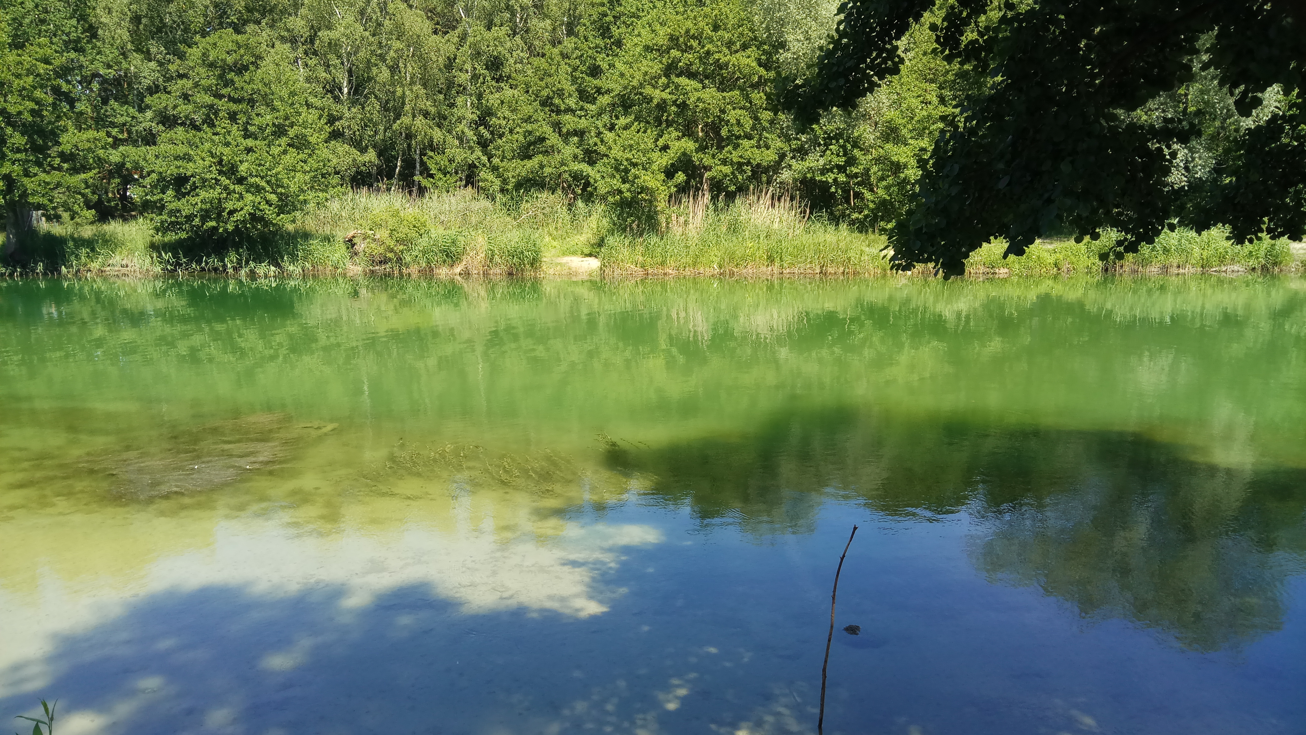 Rzeka Łupawa przy Jurkowie – malownicze otoczenie obiektu